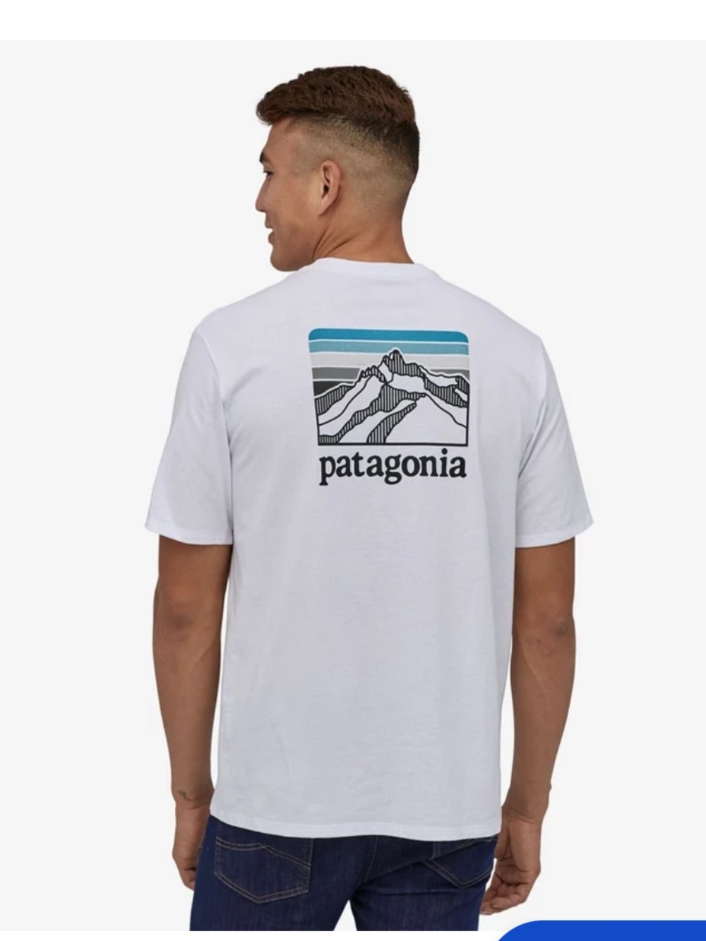 Patagonia Responsibili-Tee White T-Shirt with Blue and Gray Mountain Logo, small